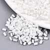 2-Hole Glass Seed Beads X-SEED-S031-M-SH401-1