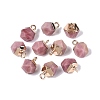 Natural Rhodonite Pendants G-N359-18G-11-1