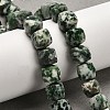 Natural Green Spot Jasper Beads Strands G-H078-C27-01-2