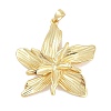 Rack Plating Brass Pendants KK-Q028-42G-1