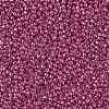 TOHO Round Seed Beads SEED-JPTR11-PF0563-2