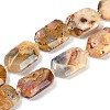 Natural Crazy Agate Beads Strands G-B125-P18-01-1