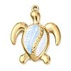 304 Stainless Steel Pendants STAS-Z168-01G-07-1