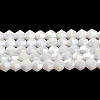 Opaque Solid Color Electroplate Glass Beads Strands LS-GLAA-F029-P4mm-A15-1