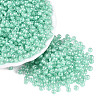FGB Glass Seed Beads SEED-Q040-08A-10-1