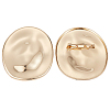 2Pcs Alloy Brooches JEWB-CP0001-58G-7