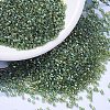 MIYUKI Delica Beads SEED-X0054-DB1247-1