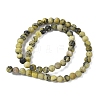 Natural Yellow Turquoise(Jasper) Beads Strands G-H245-02B-4