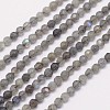 Faceted Round Natural Labradorite Bead Strands LS-G-I156-03-4mm-1