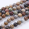 Natural Ocean Jasper Beads Strands G-P318-01-10mm-1