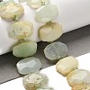 Natural Green Opal Beads Strands G-H078-B07-01-2