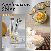 150Pcs 3 Styles ABS Plastic Imitation Pearl Round  Beads KY-SP0001-62-5