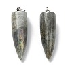 Natural Labradorite Pointed Pendants G-D040-01P-B04-2