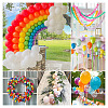 Latex Balloon DIY-TAC0025-33C-02-9
