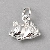 Brass Charms LS-FIND-WH0159-63S-22-1