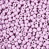 6/0 Baking Paint Glass Round Seed Beads SEED-S036-01C-08-3