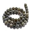 Natural Labradorite Beads Strands G-G212-8mm-23-15