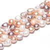 Natural Cultured Freshwater Pearl Beads Strands PEAR-N014-09A-5