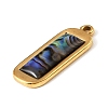 Paua Shell Pendants SSHEL-B145-01E-G-2