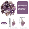 20Pcs Natural Amethyst Pendants G-BBC0001-50B-2