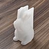 Rabbit DIY Silicone Rabbit Ornaments Molds SIMO-R010-03B-1