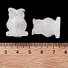 Natural Quartz Crystal Carved Figurines DJEW-L023-G13-3