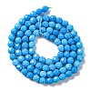 Natural Howlite Beads Strands G-C025-02C-10-3