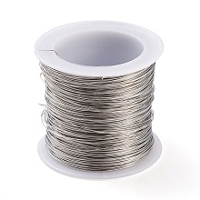 Non-Tarnish 316 Surgical Stainless Steel Wire TWIR-L004-01E-P