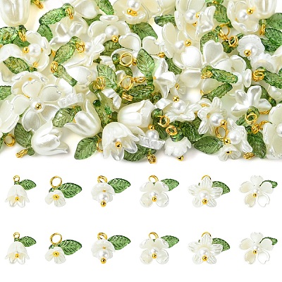 60Pcs 6 Styles Imitated Pearl Acrylic & Resin Pendants PALLOY-YW00195-1