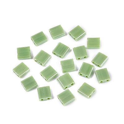 FGB 2-Hole Glass Seed Beads SEED-S031-L-124-1