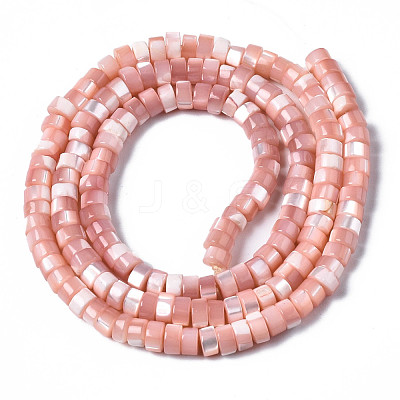 Natural Trochus Shell Beads Strands X-SHEL-S278-027H-1