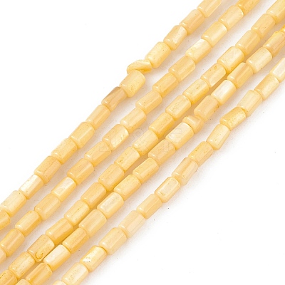 Natural Freshwater Shell Dyed Beads Strands X-SHEL-M018-12-01-1