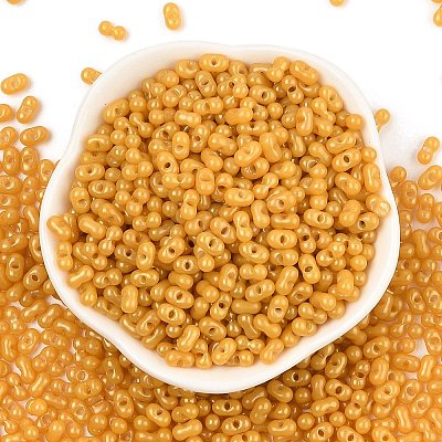 Baking Paint Glass Seed Beads SEED-L011-09A-22-1