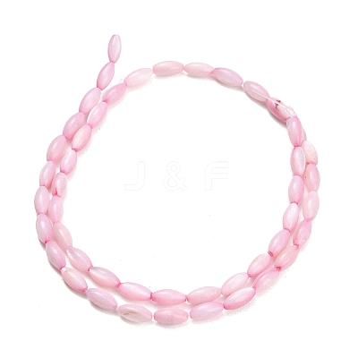 Natural Freshwater Shell Beads Strands SHEL-C010-01E-1