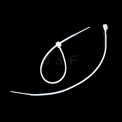 Nylon Cable Ties TOOL-R024-100mm-02-1