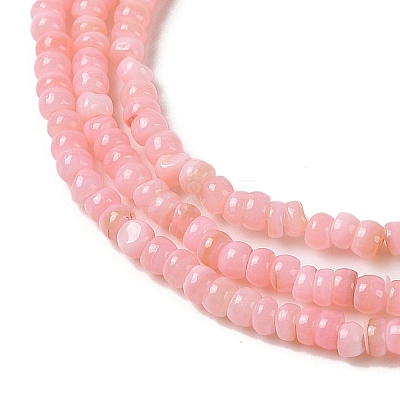 Natural Freshwater Shell Beads Strands SHEL-P017-01B-09-1