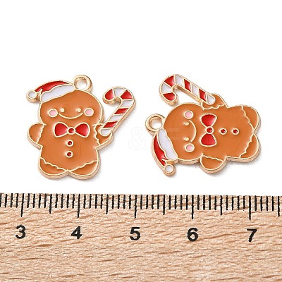 Alloy Enamel Pendants ENAM-I061-01KCG-11-1