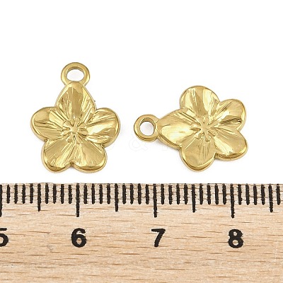 304 Stainless Steel Charms STAS-L317-02G-1