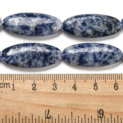 Natural Blue Spot Jasper Beads Strands G-B078-E07-01-1