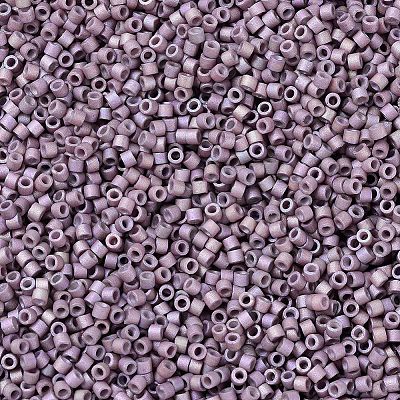 MIYUKI Delica Beads SEED-MY11-DB1064-1