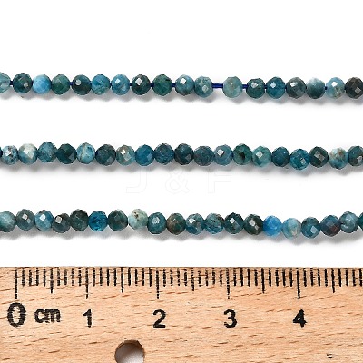 Natural Apatite Beads Strands G-RM2025-28-3mm-1