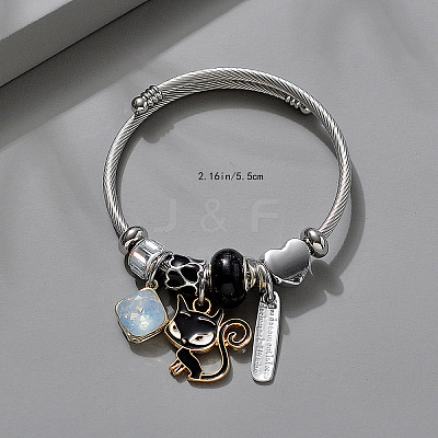 Adjustable Stainless Steel European Bangles FS-WGE9400-07-1