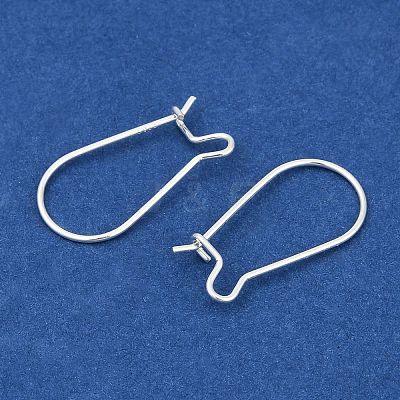 925 Sterling Silver Hoop Earrings STER-S002-55-1