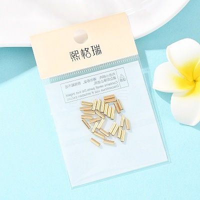 SHEGRACE Brass Tube Beads XGRPCP566-251G-1