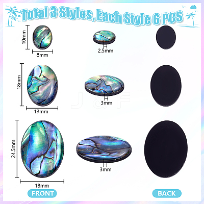 18Pcs 3 Styles Natural Paua Shell Cabochons SSHEL-PH0001-43-1