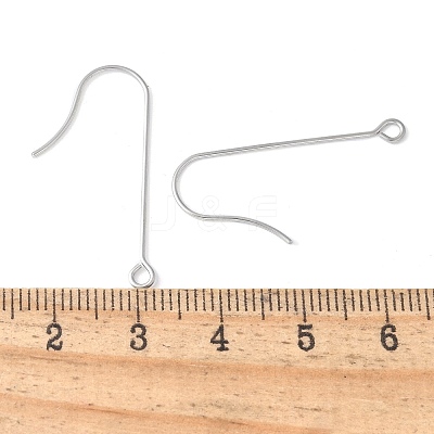 316 Surgical Stainless Steel Earring Hooks STAS-Z124-02B-P-1