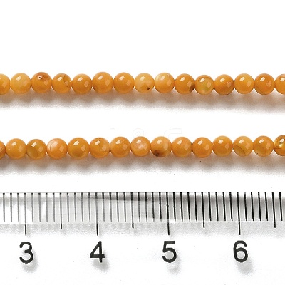 Natural Freshwater Shell Beads Strands SHEL-H003-03E-1