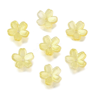 Acrylic Bead Caps OACR-I024-01B-1