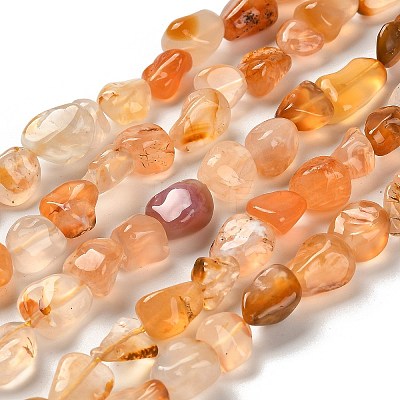 Natural Carnelian(Dyed & Heated) Beads Strands G-P497-01C-69-1