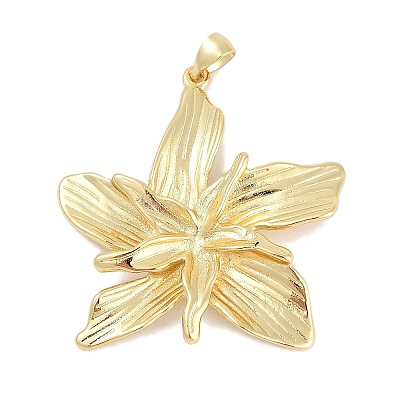Rack Plating Brass Pendants KK-Q028-42G-1